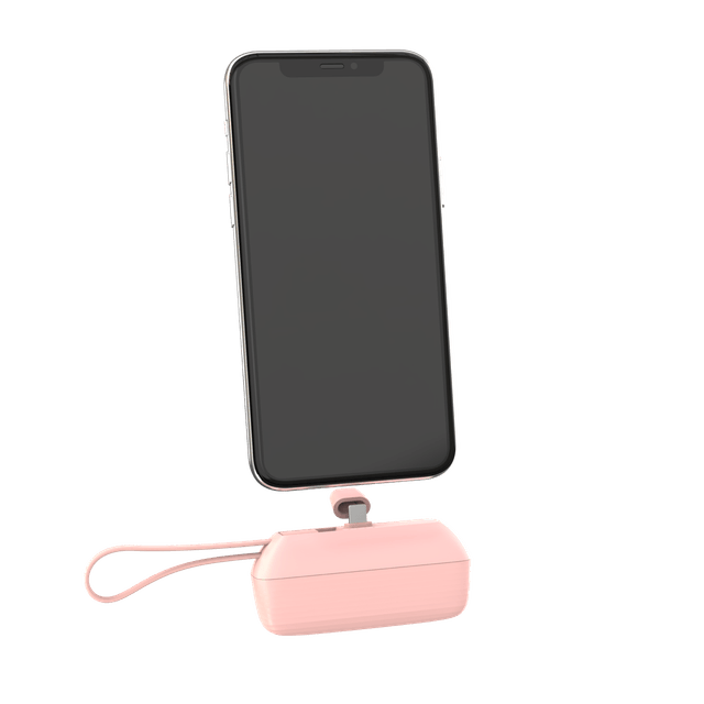 MINI Batterie externe compatible iPhone et type C 