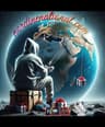 SÉLECTION by NORDINENATIONAL.COM